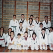 Traditionnel Taekwondo